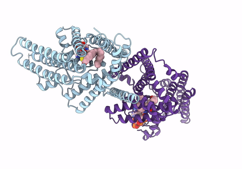 6P2J image