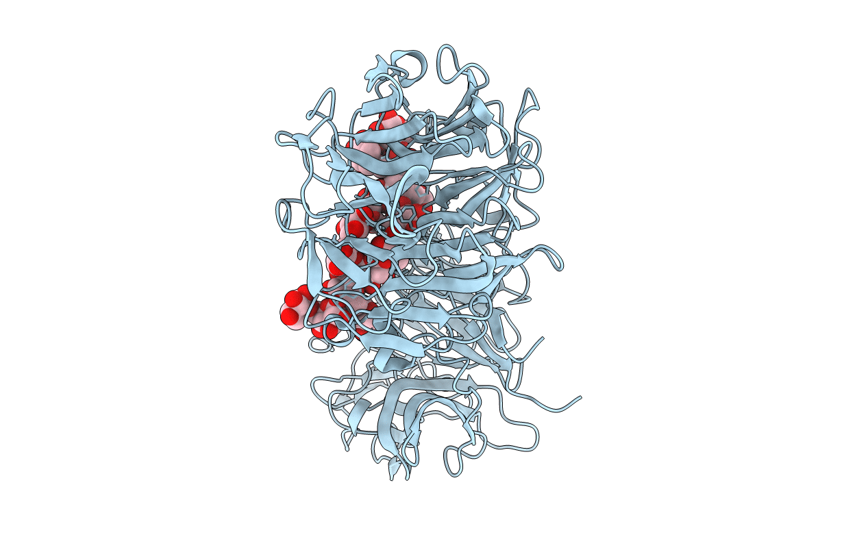 6P2L image