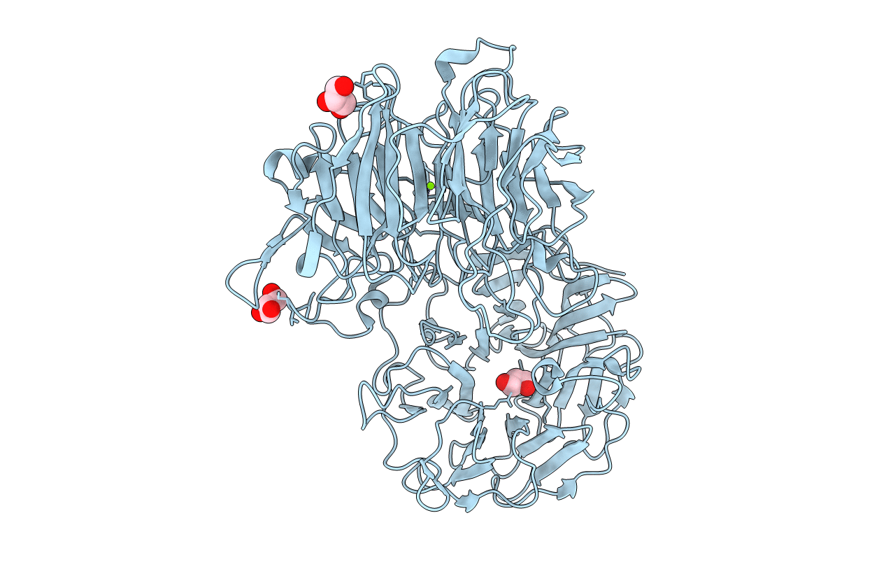 6P2N image