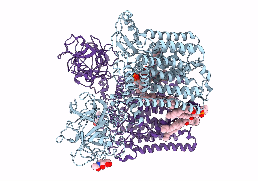 6P2R image