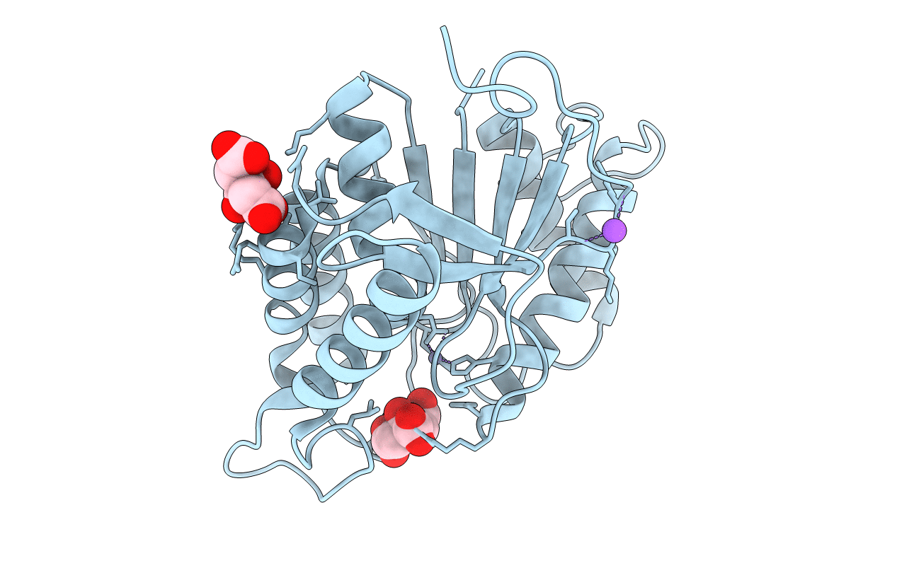 6P2T image
