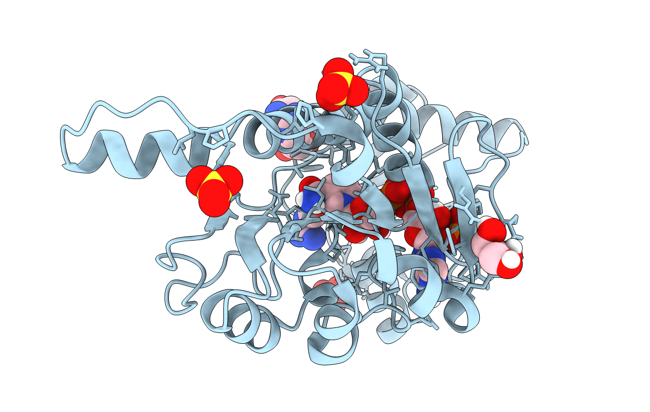 6P35 image