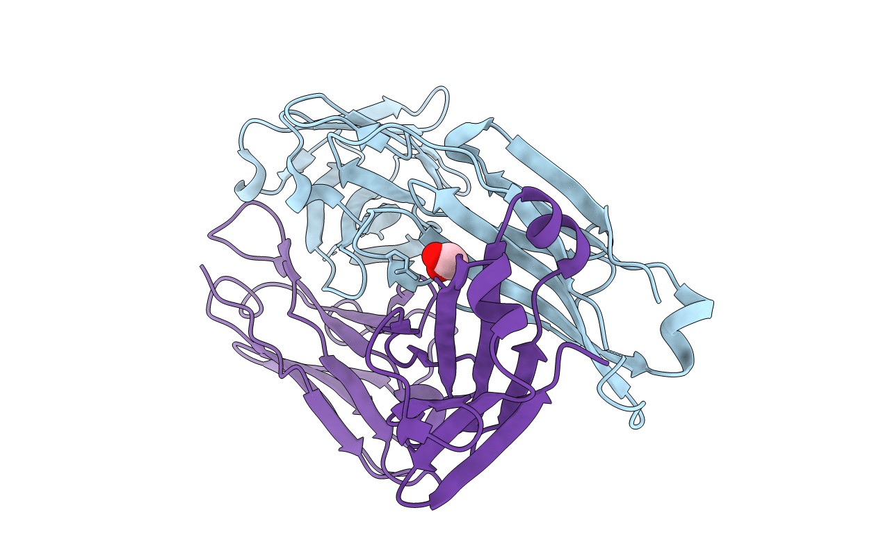 6P3B image