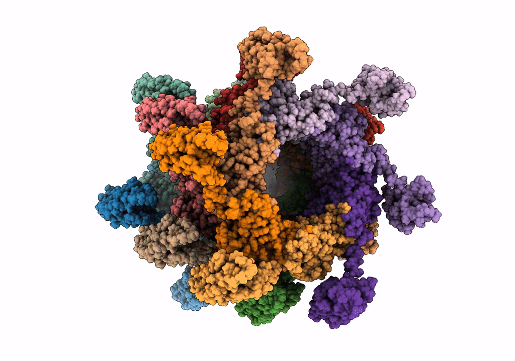 6P3E image