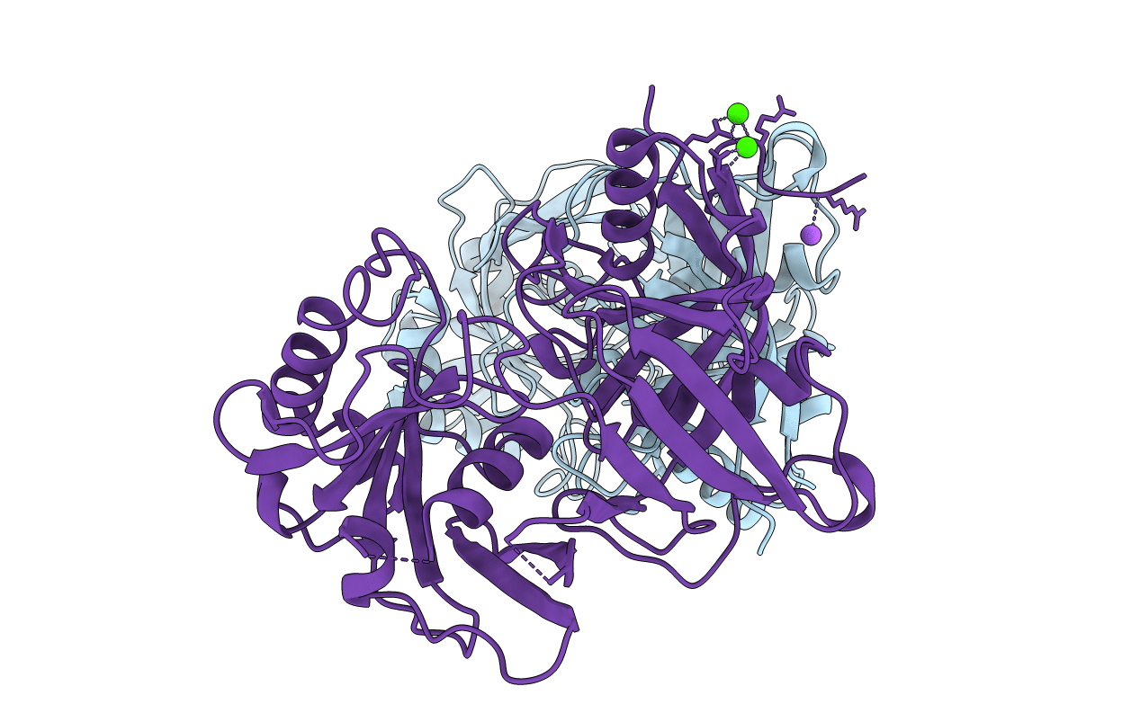 6P3J image
