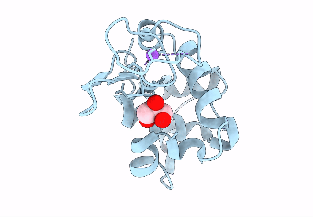6P4D image