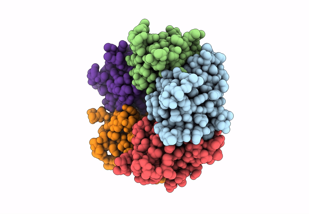 6P4S image