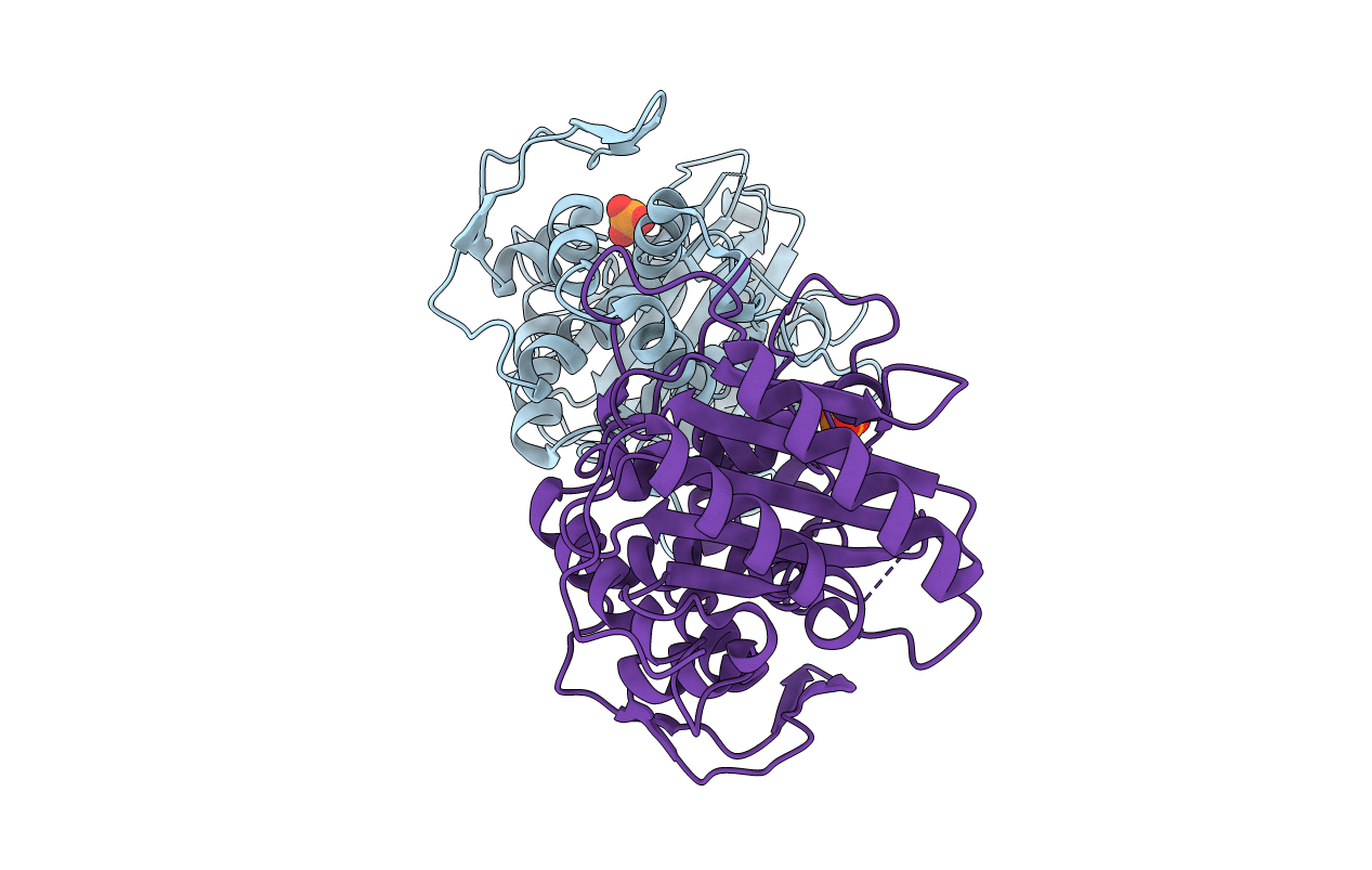 6P52 image