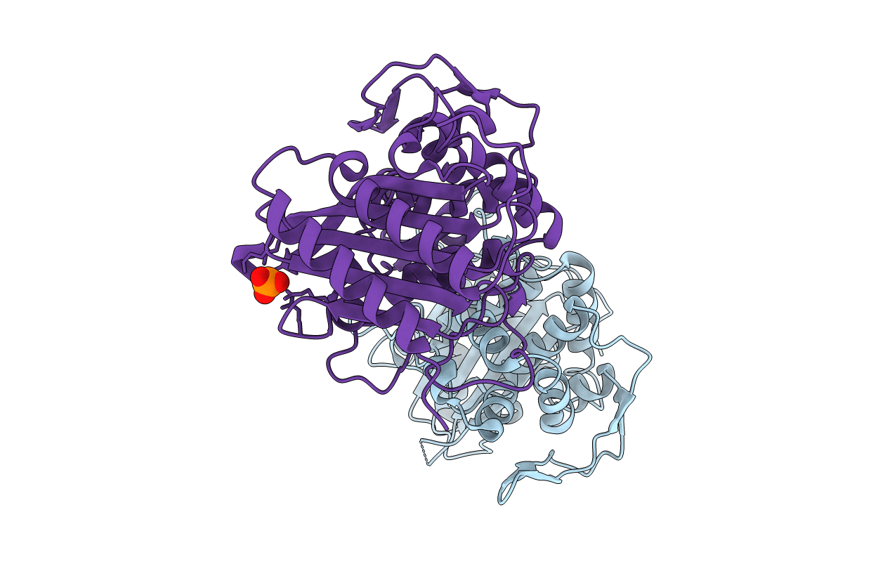 6P53 image