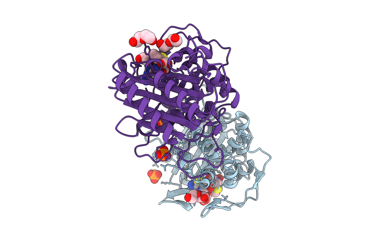 6P55 image