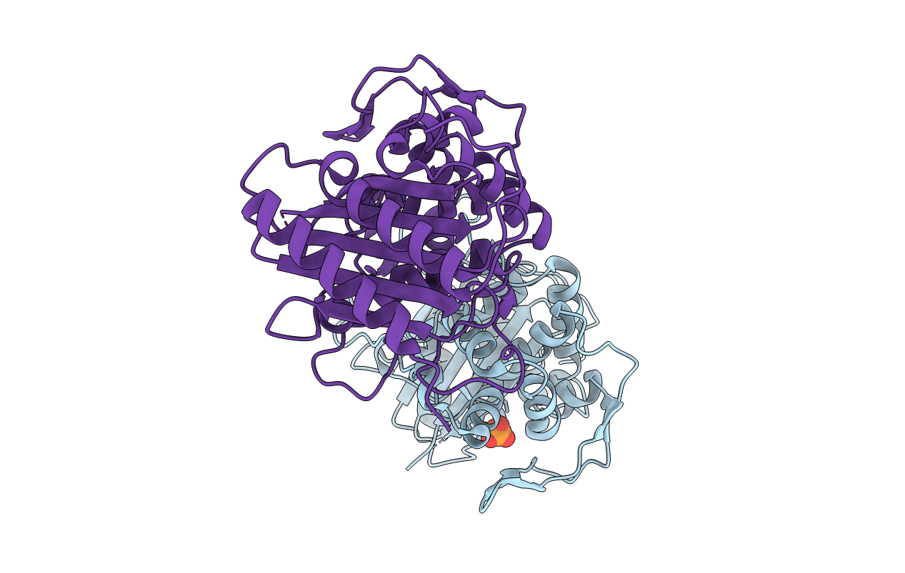6P56 image