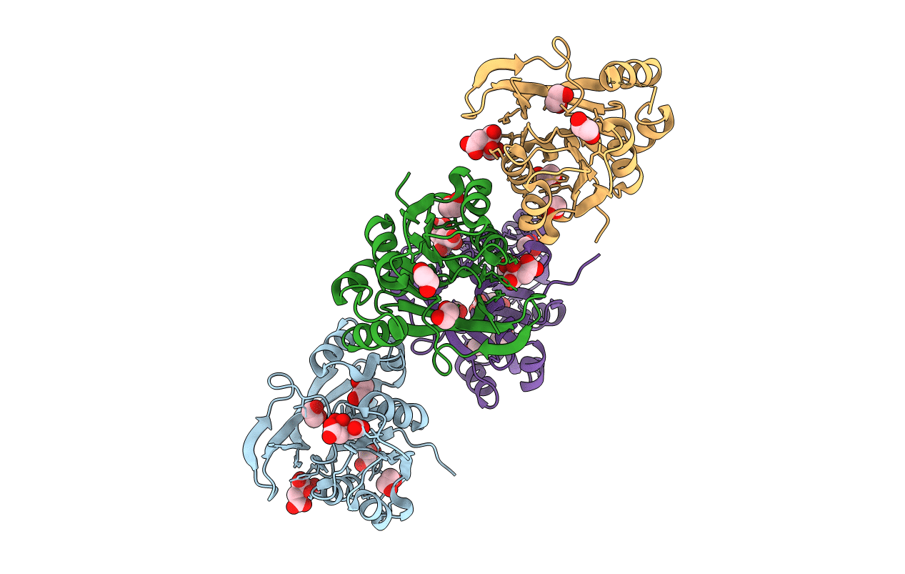6P61 image
