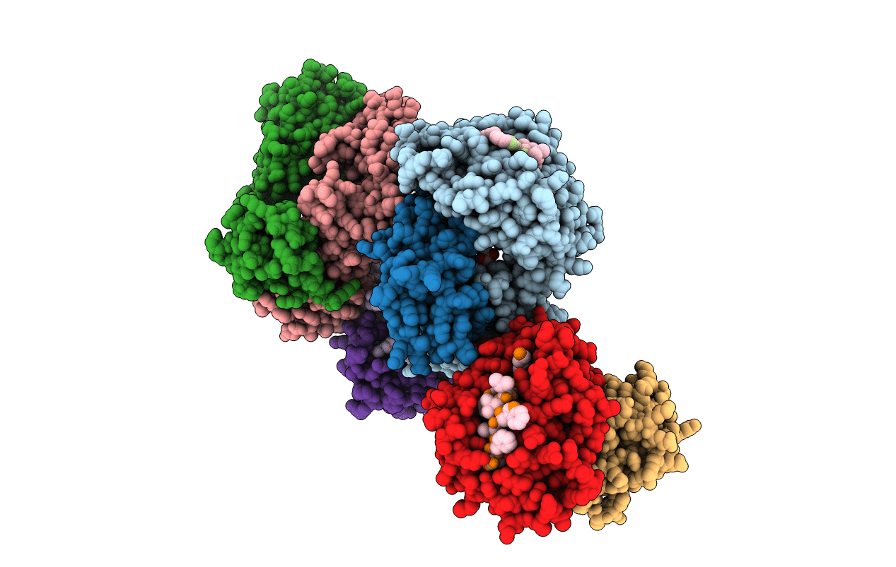 6P64 image