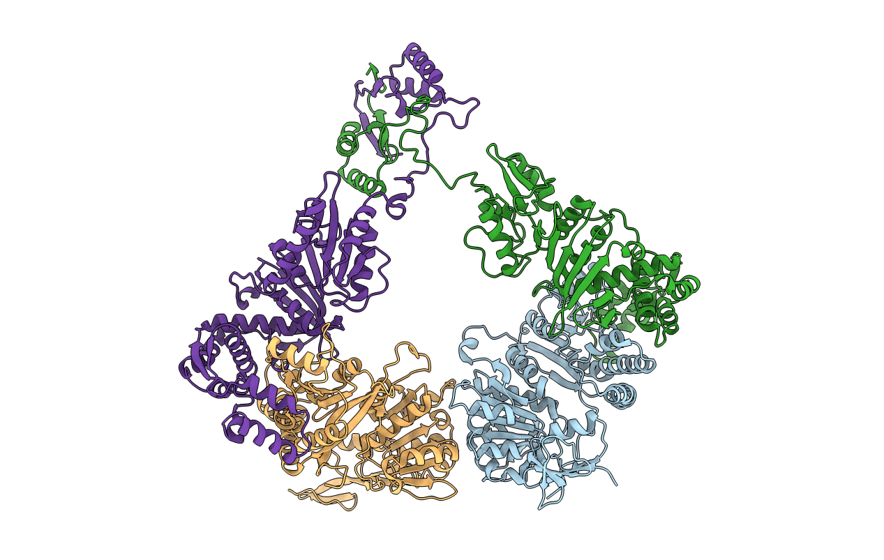 6P66 image