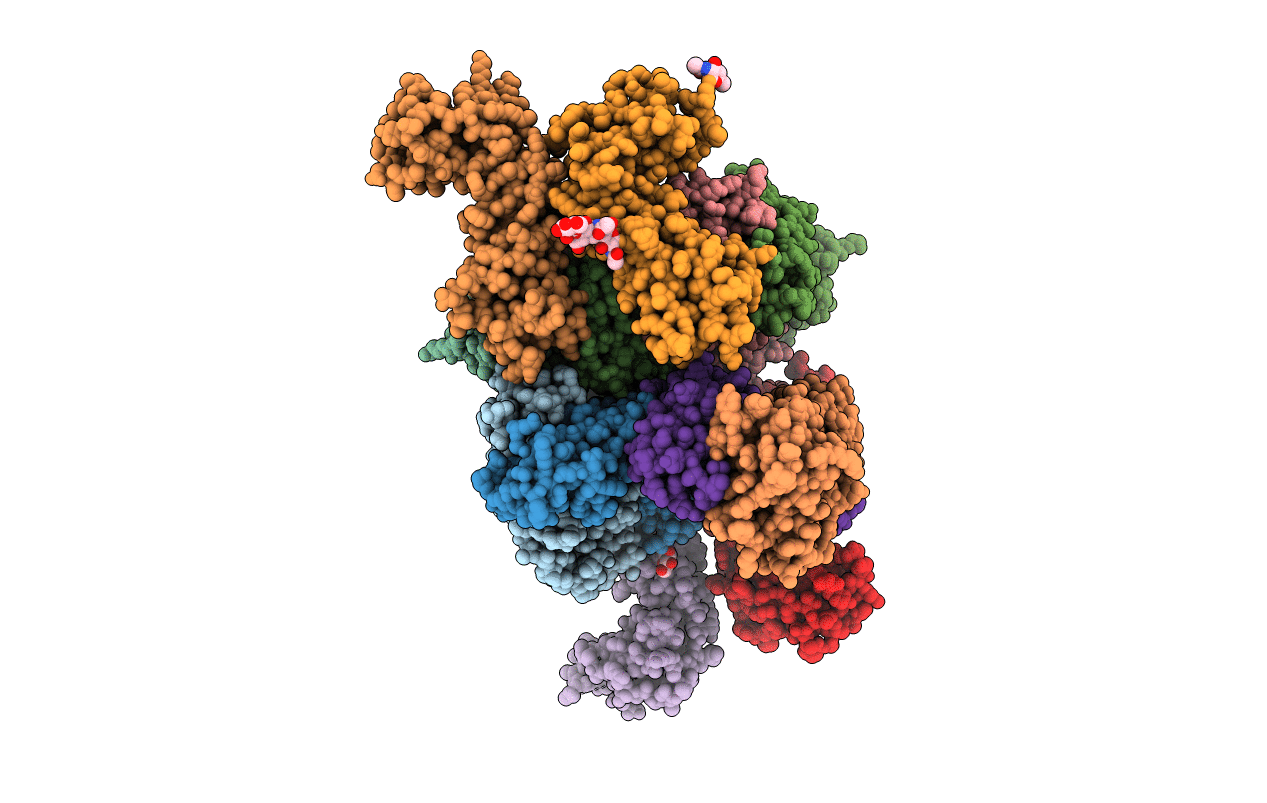6P67 image