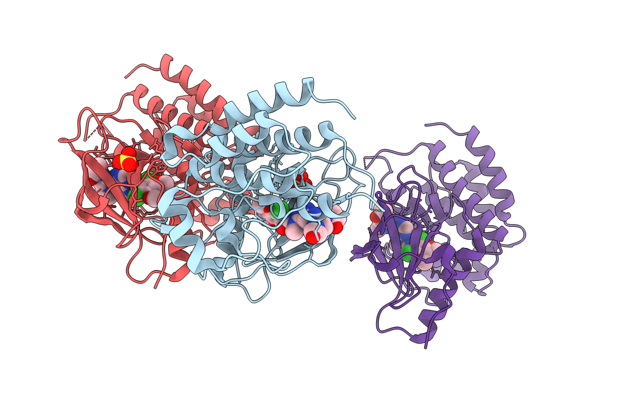 6P68 image
