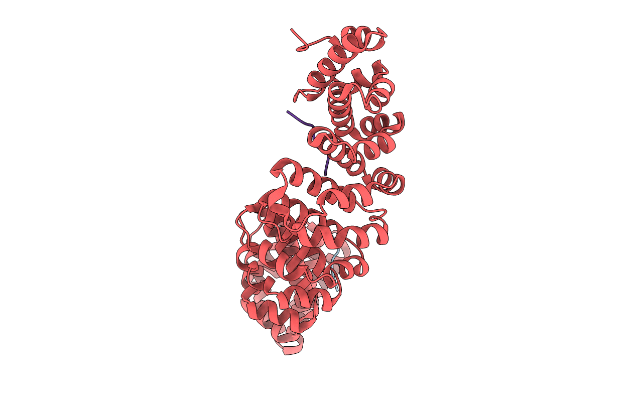 6P6A image