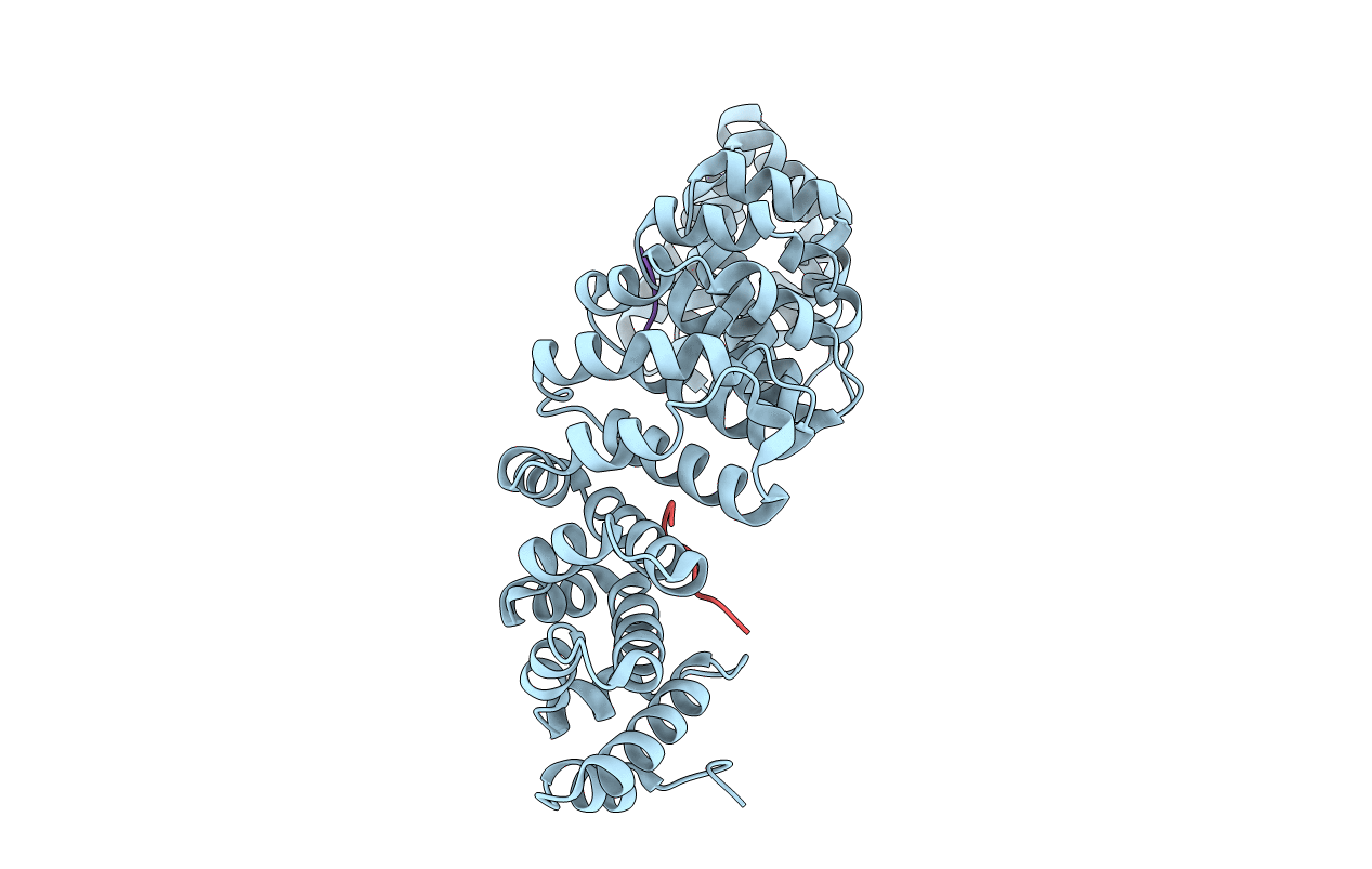 6P6E image