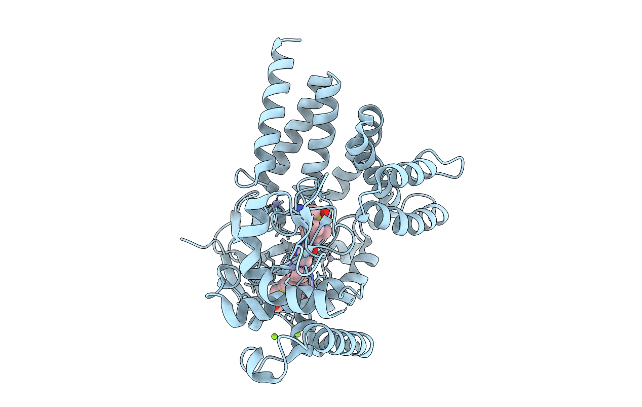 6P6K image