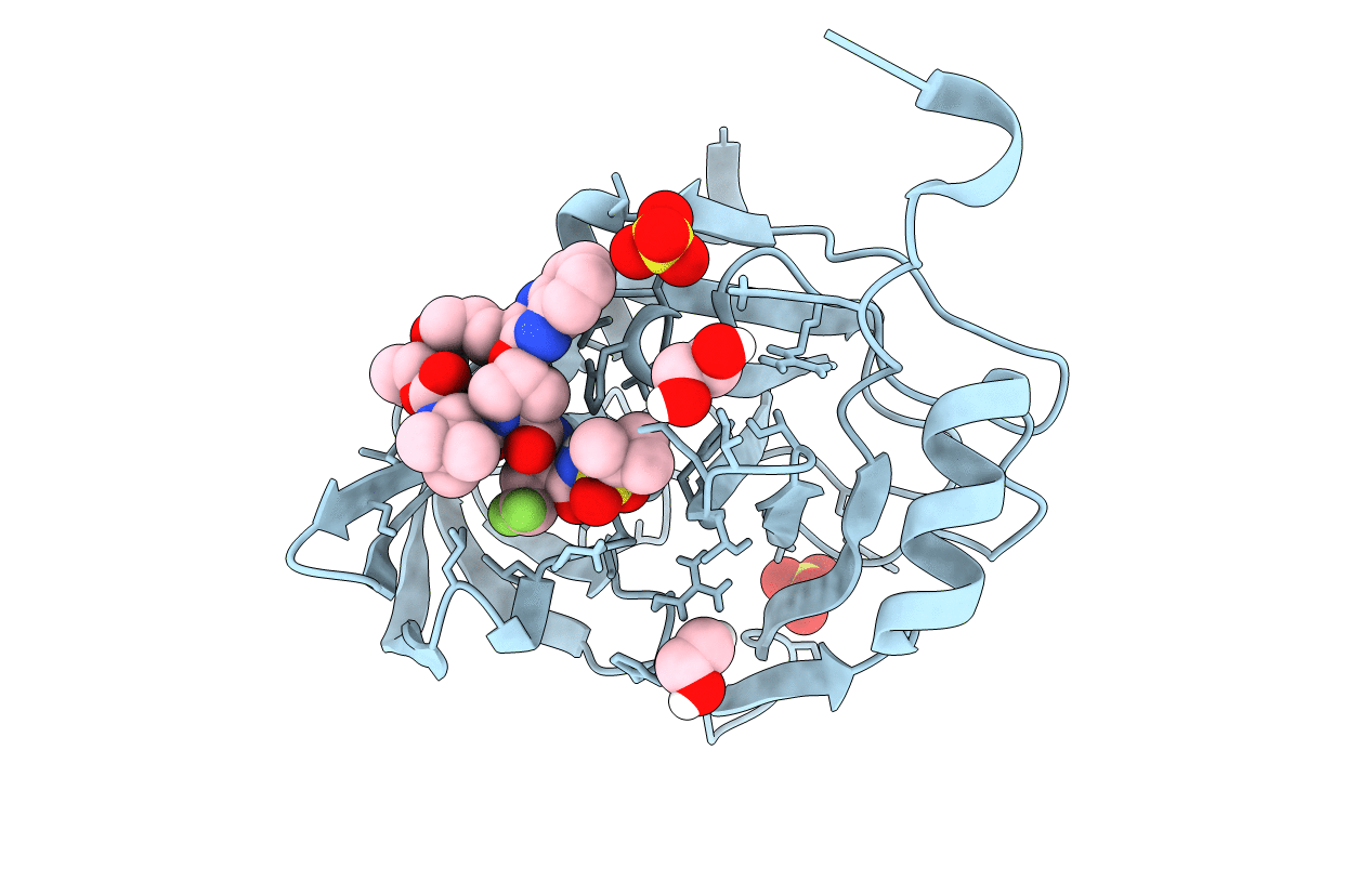 6P6R image