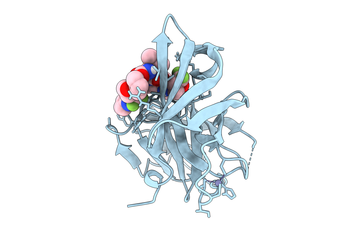 6P6T image