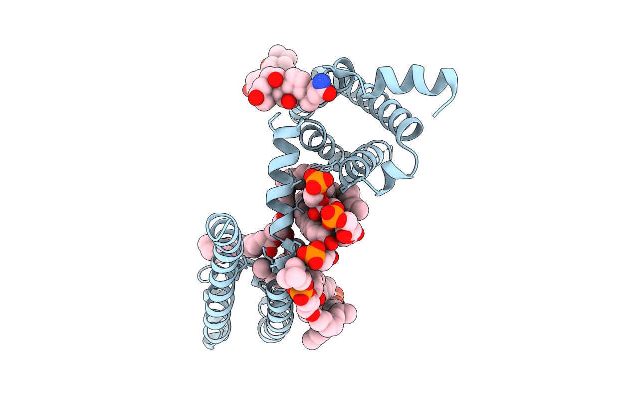 6P6X image