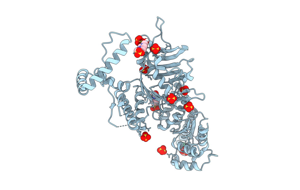 6P74 image
