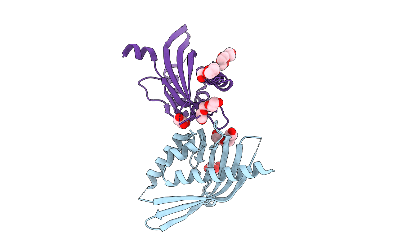 6P77 image