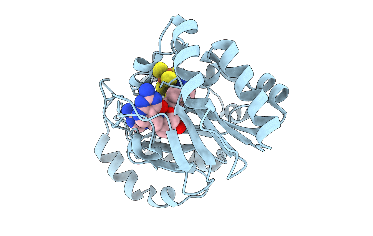 6P78 image