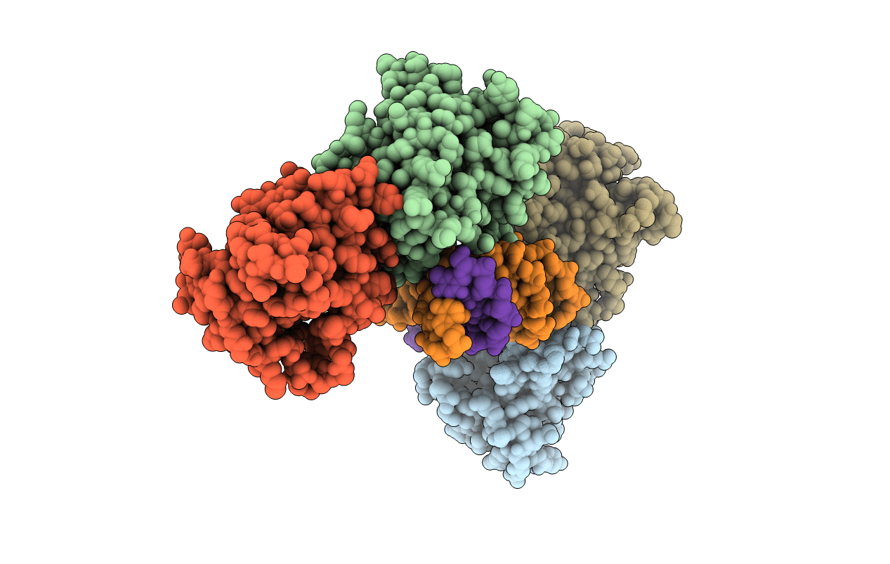 6P7B image