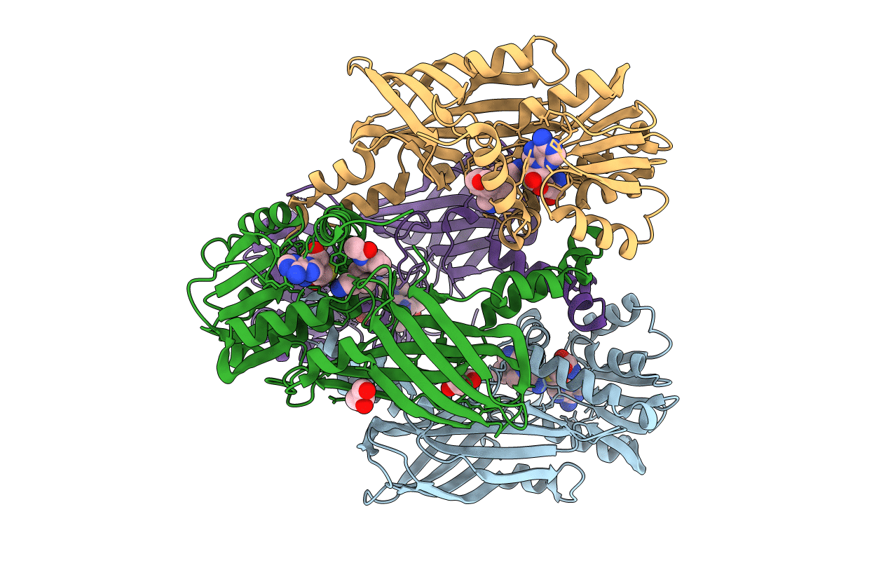 6P7I image