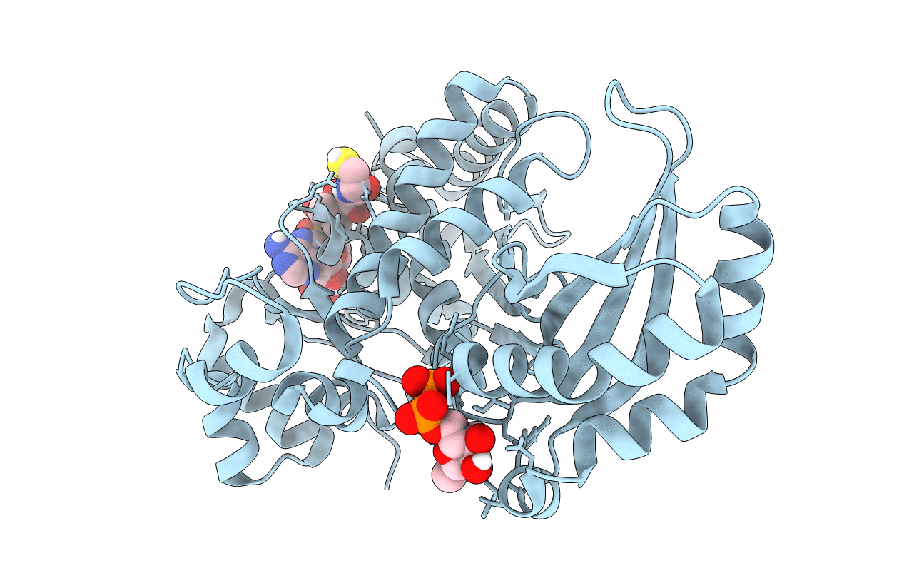 6P7K image
