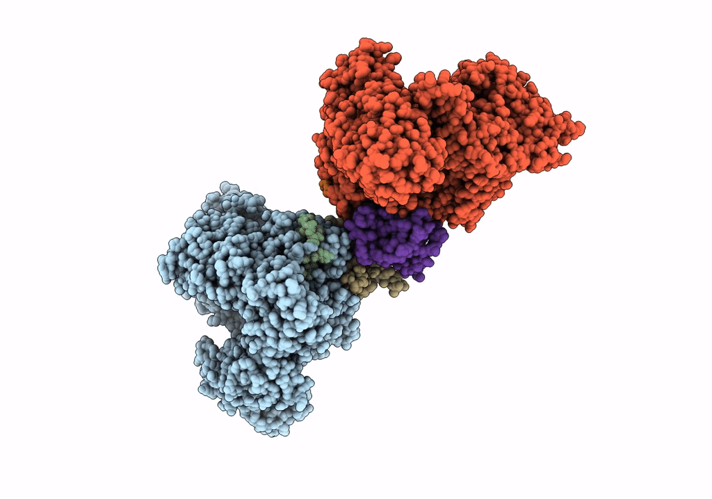 6P7N image