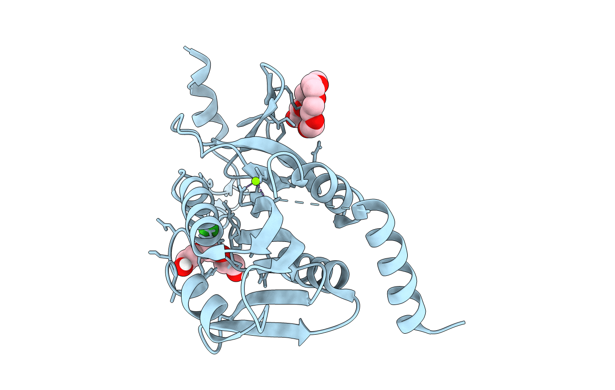 6P7O image