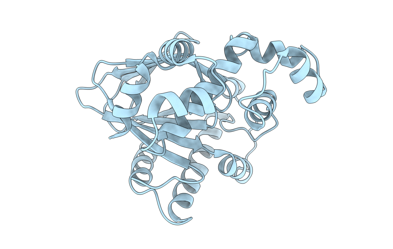 6P7T image