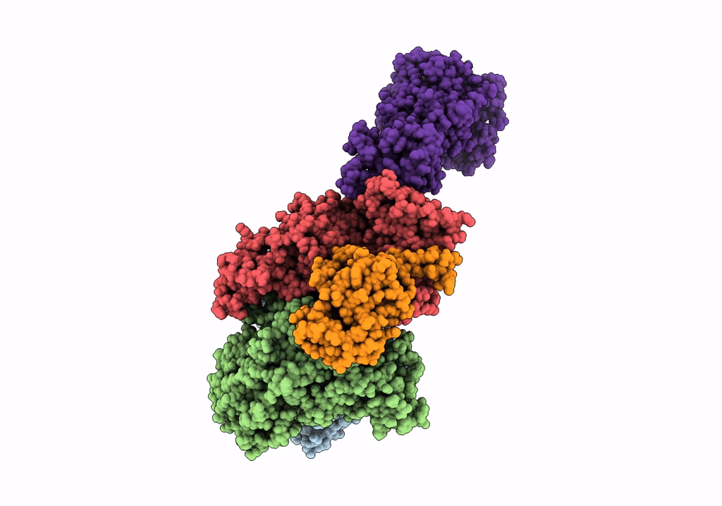6P7X image