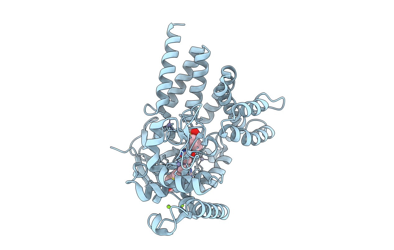 6P7Z image