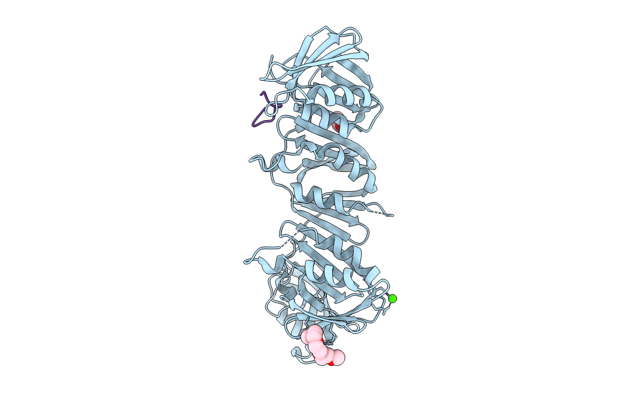 6P81 image