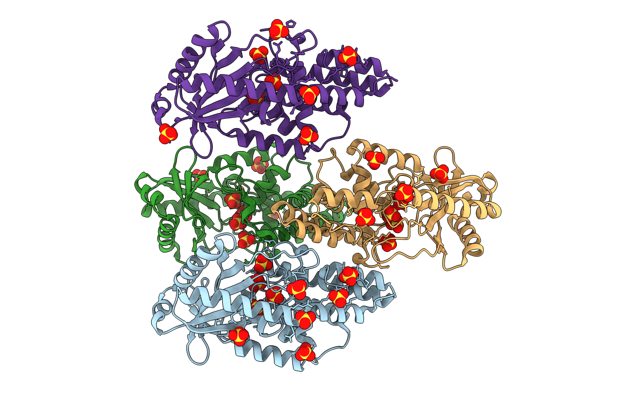 6P82 image