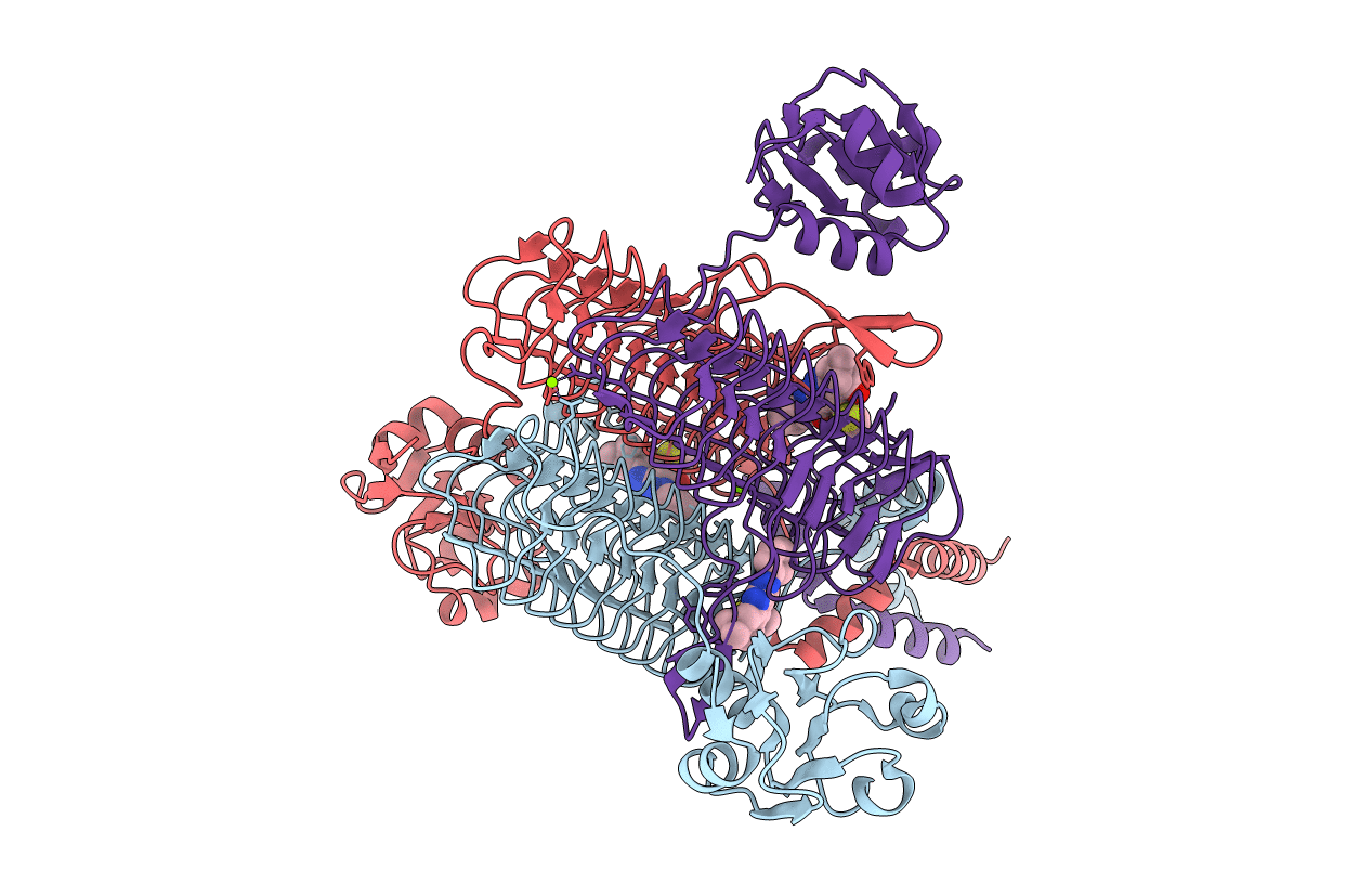 6P84 image