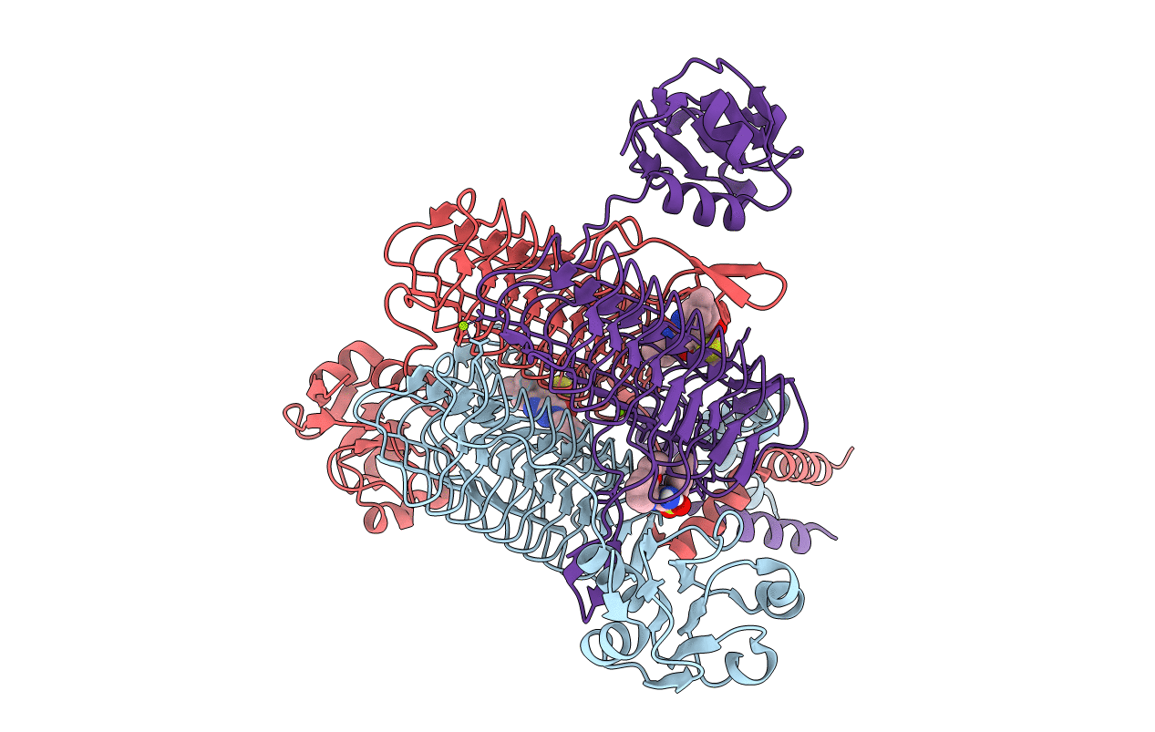 6P85 image