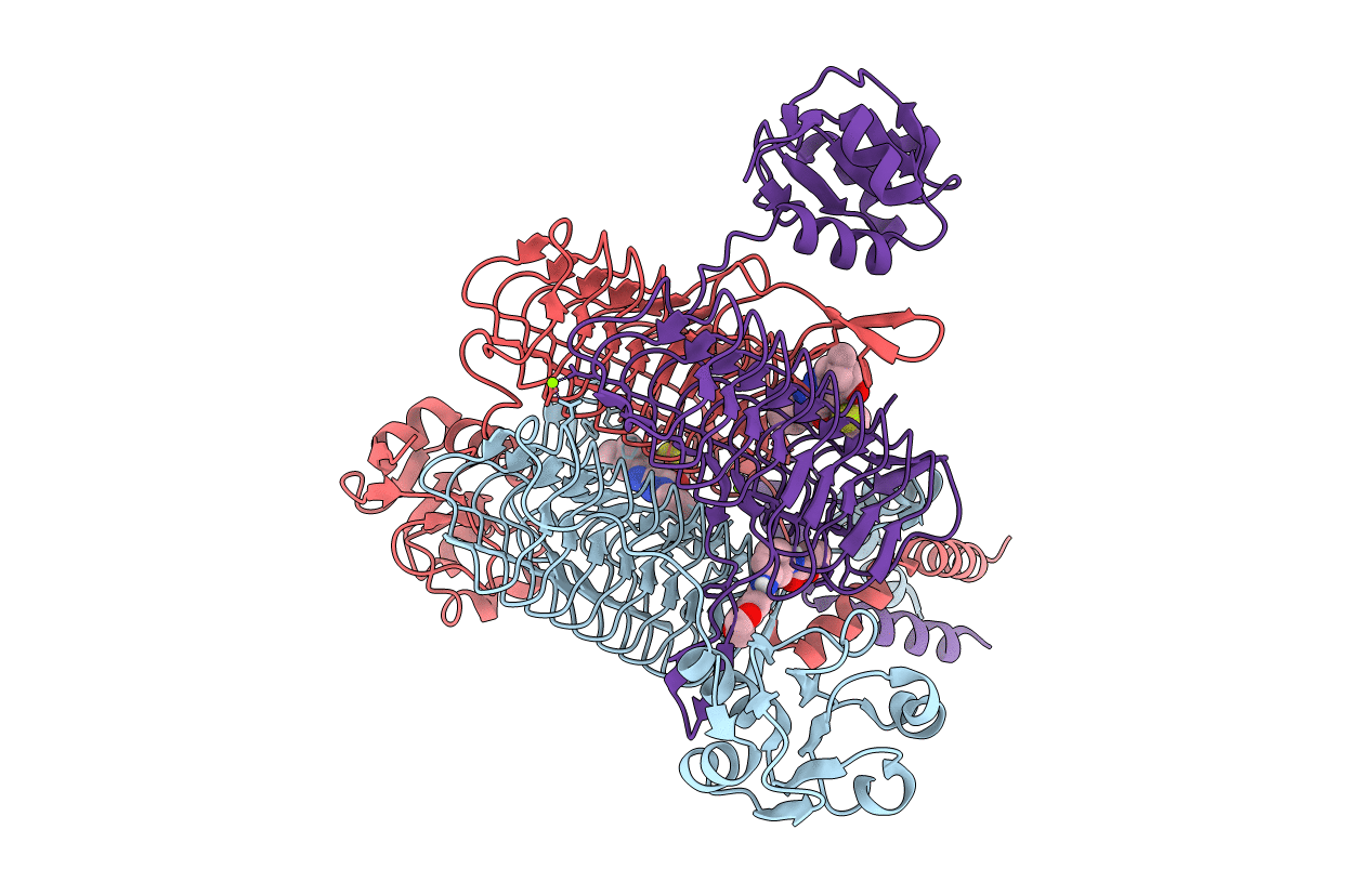 6P88 image