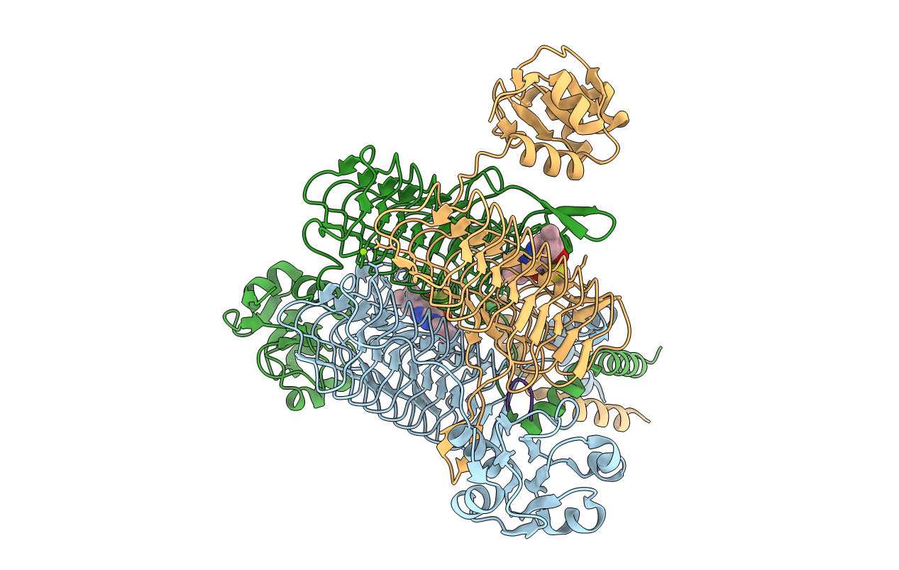 6P8B image