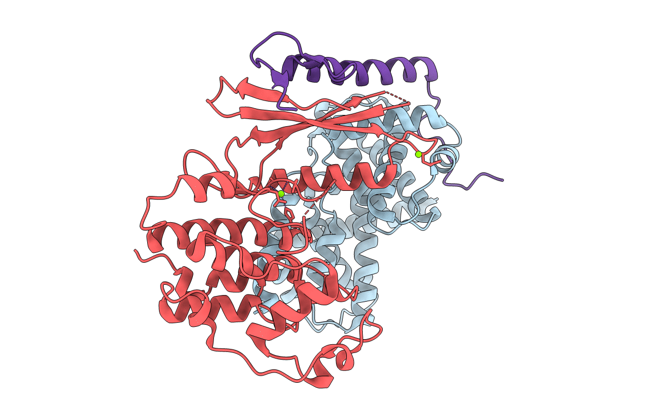 6P8E image