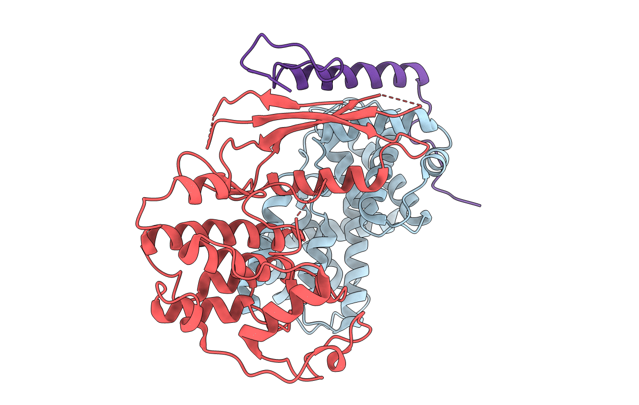 6P8H image