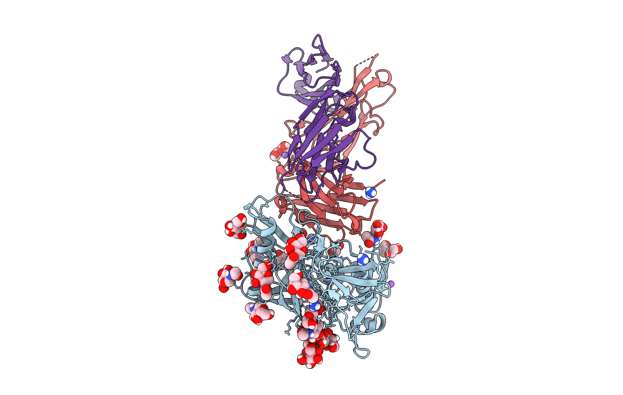 6P8M image