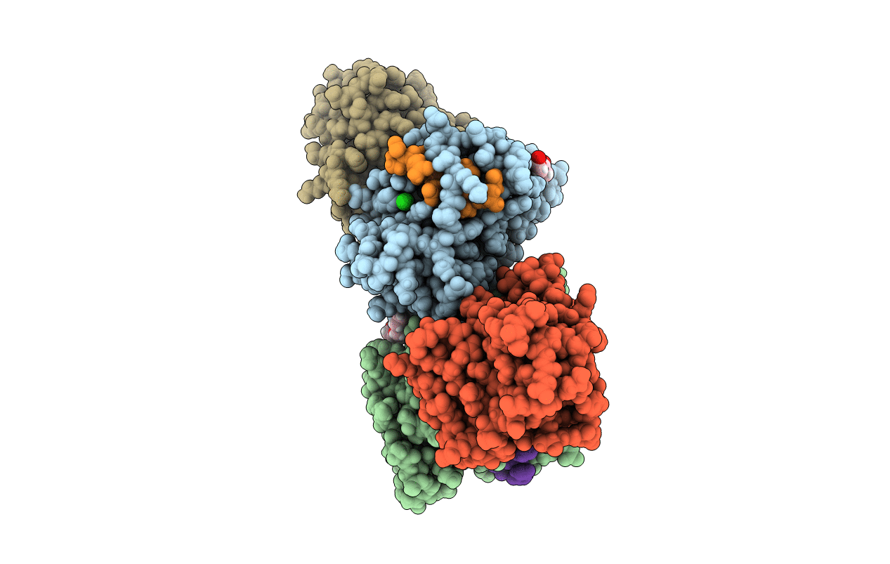 6P8S image