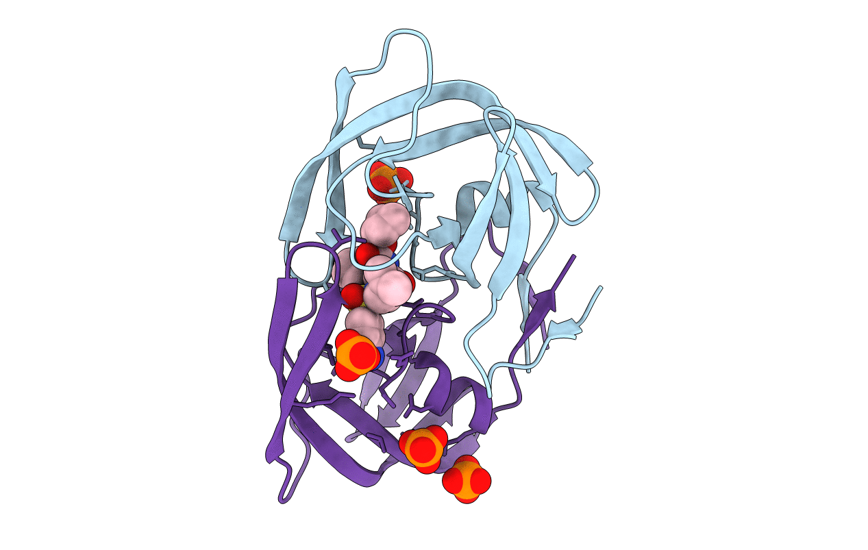 6P9B image