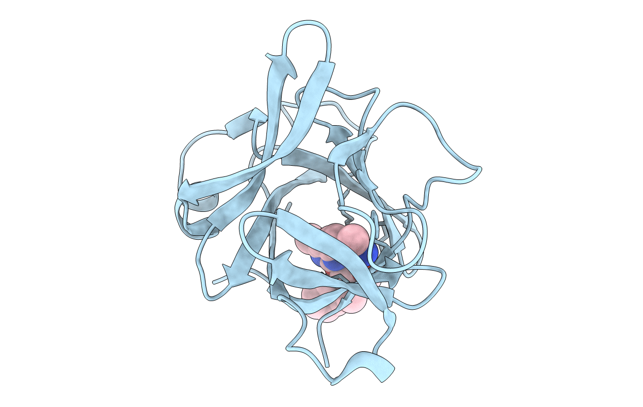 6P9E image