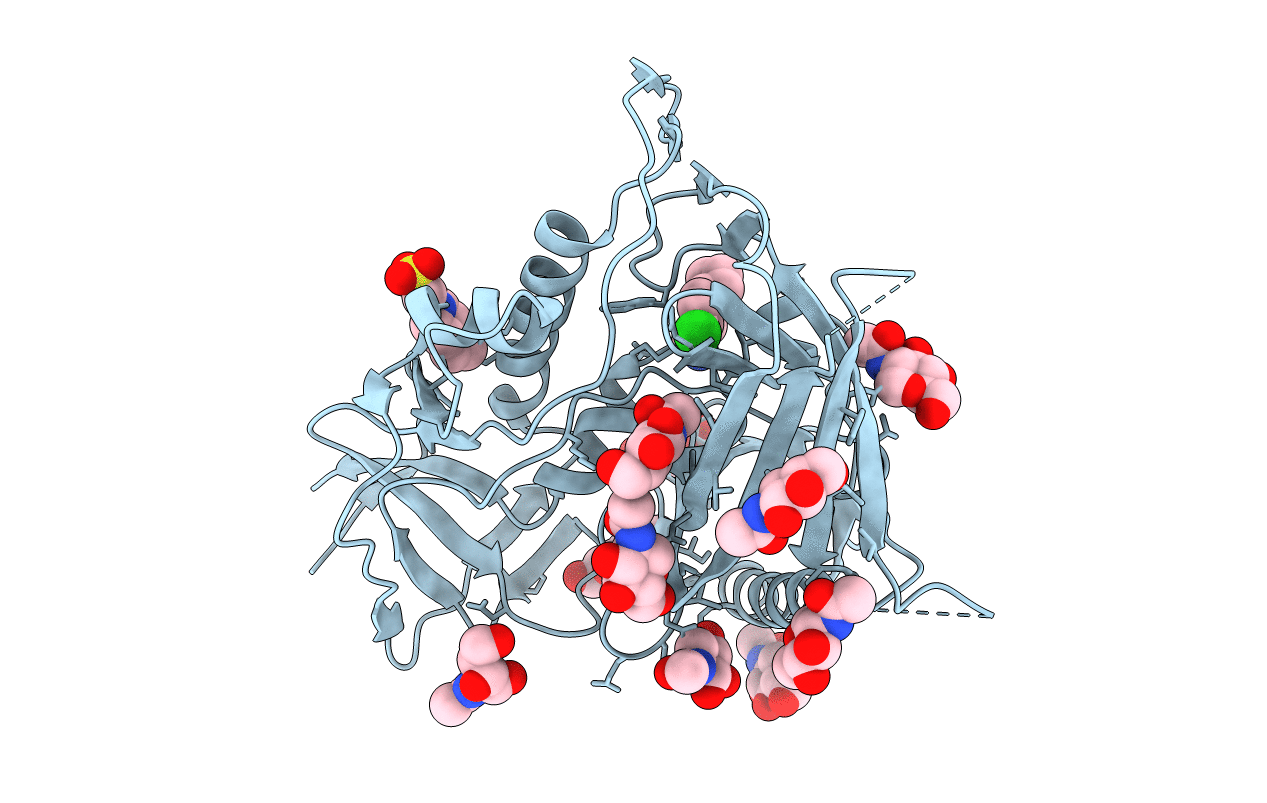 6P9N image